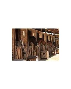 Laeacco Stable Backdrop 7x5ft Vinyl Photography Background Stud-Farm Horses Scene Backdrop Farm Country Village Rustic Rural Theme Background Cowboy Portrait Background Prop Photo Shooting Stand