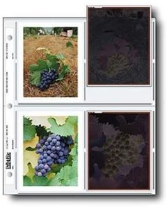 Print File Negative Pages Holds Eight 4x5" Polaroid Prints or Four 4x5" Sleeved Negatives, Pack of 100