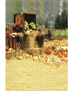 AOFOTO 3x5ft Fall Farm Backdrops Countryside Photography Studio Props Pumpkins Haystack Background Wooden Case Flower Hay Rural Autumn Harvest Scene Photo Shoot Video Drop Child Artistic Portrait