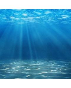 YAME 8x8ft Vinyl Deepwater Undersea Underwater Photography Backdrop Background