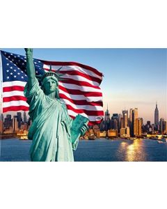 AOFOTO 8x6ft Statue of Liberty Backdrops American Flag Photo Shoot Background New York Harbour Buildings Photography Studio Props Adult Portrait Artistic Acitivity Digital Video Drop Vinyl Wallpaper