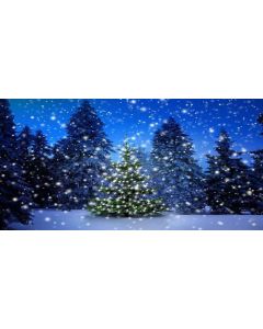 GladsBuy Shiny Christmas Tree 20' x 10' Computer Printed Photography Backdrop Christmas Theme Background LMG-188