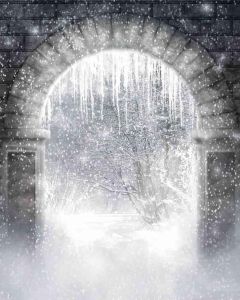 GladsBuy Snow and Ice Cover 5' x 7' Computer Printed Photography Backdrop Outdoor Architectural Theme Background DGX-162