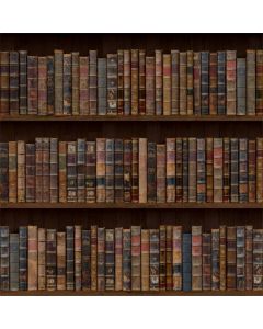 Laeacco Vintage Bookshelf Backdrop 8x8ft Vinyl Photography Background Old Bookshelf Orderly Antique Books Educator Teacher Writer Pupil Professor Classical Grunge Wallpaper Wedding Bookworm Library