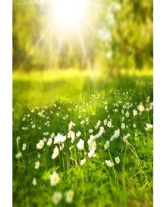 AOFOTO 3x5ft Spring Meadow Background Sweet Florets and Sunbeam Photography Backdrop Grass Flowers Kid Baby Girl Artistic Portrait Easter Photoshoot Studio Props Video Drape Wallpaper Drop