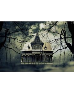 Leyiyi 10x8ft Gothic Halloween Backdrop Vintage Abandoned House Old Rustic Cottage Western Ghost Room Gloomy Sky Bats Photography Background Horror Costume Carnival Photo Studio Prop Vinyl Banner