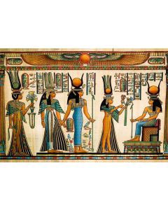 AOFOTO 10x7ft Ancient Egyptian Mural Backdrop Papyrus Hieroglyphics Totem Belief Religious History Culture Photography Background Egypt Theme Birthday Party Decoration Banner Photo Shoot Props Vinyl