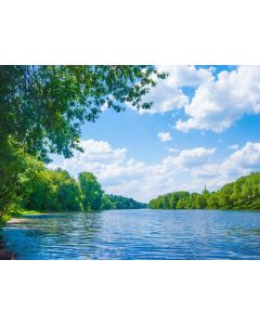 DZJYQ 6.5x5ft(2x1.5m) Gorgeous Tropical Summer Blue Sky White Cloud Green Forest Tree Lake Beautiful Scenery Wedding Birthday Party Portrait Studio Photography Shooting Backdrop Background 385